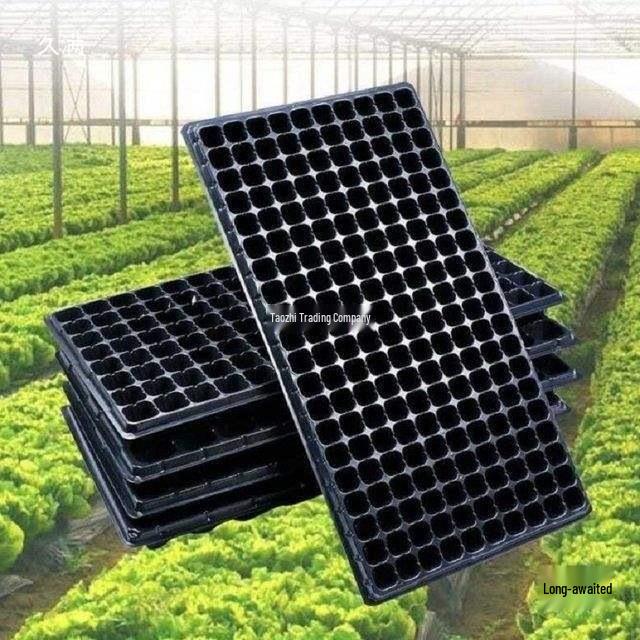 Thickened Multi-Hole Seedling Tray for Strawberries and Vegetables