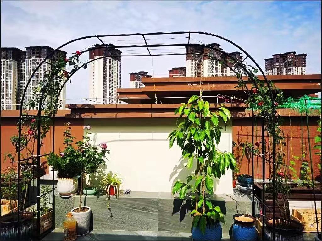 Rust-Proof Arch Trellis: Reinforced Climbing Vine Stand for Indoor/Outdoor Gardens and Courtyards.