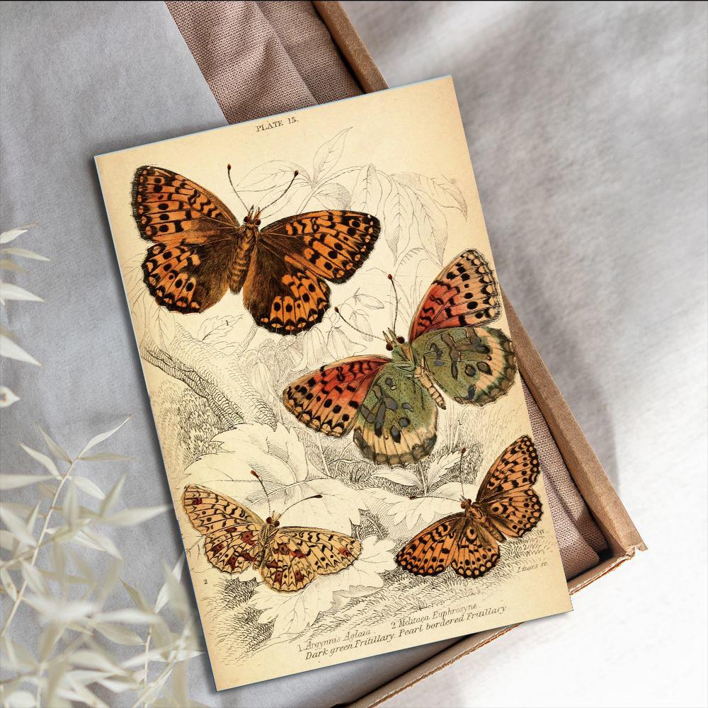 10PCS Retro Butterfly Decorative Sticker Poster Fashion Harajuku Laptop Luggage Nostalgia Skateboard Wall Home Streetwear Card