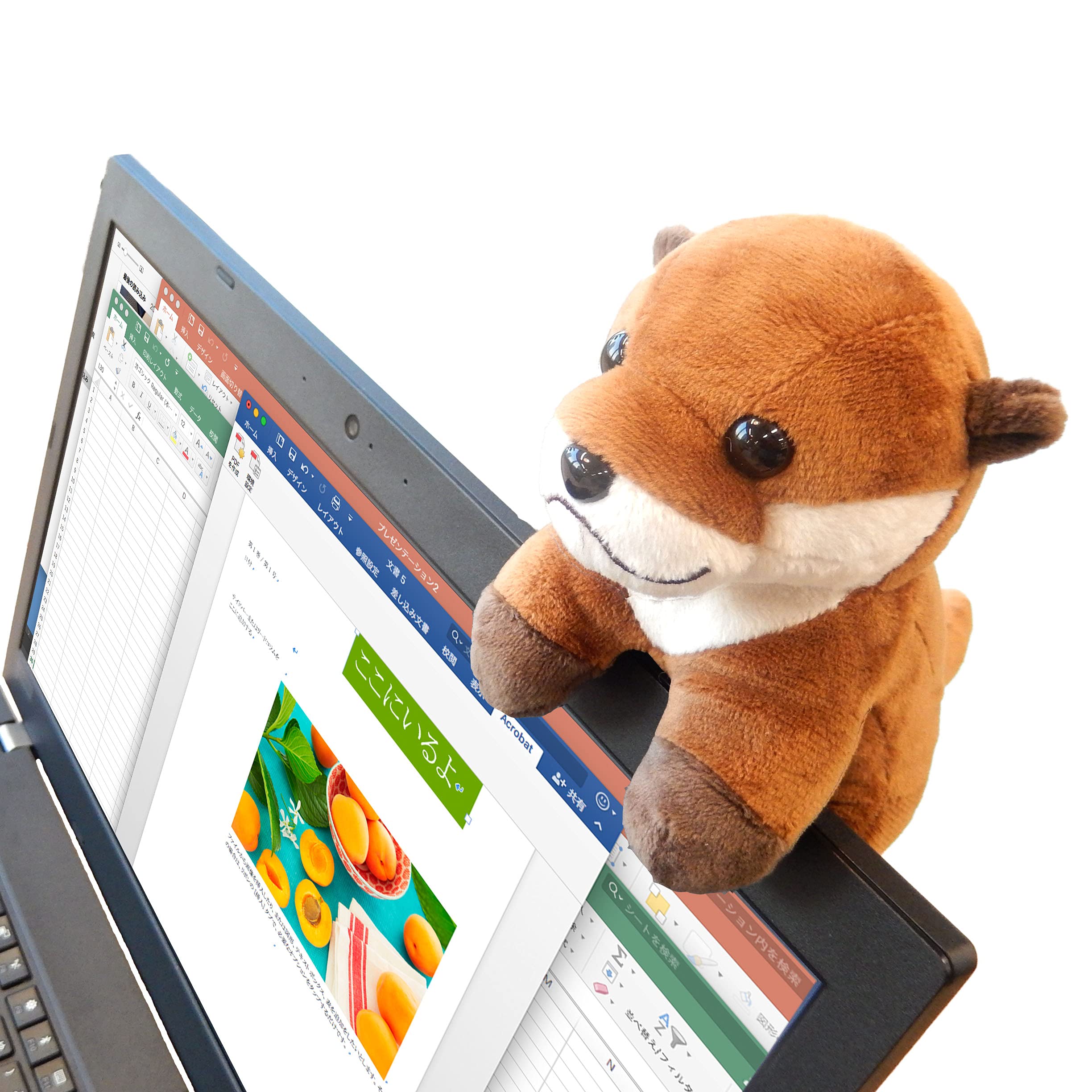 

Плюшевая игрушка Аква Здесь плюшевая игрушка азиатской выдры, которая крепится к монитору вашего ноутбука. Я когтистая