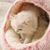 Winter Plush Pet Cat Bed Round Cat Cushion Cat House Warm Cats Basket Pet Sleep Bag Kitten Nest Kennel for Cats Pet Cats