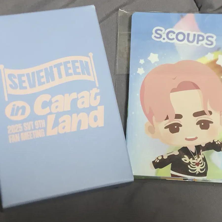 

Caratland Poca Puzzle Seventeen