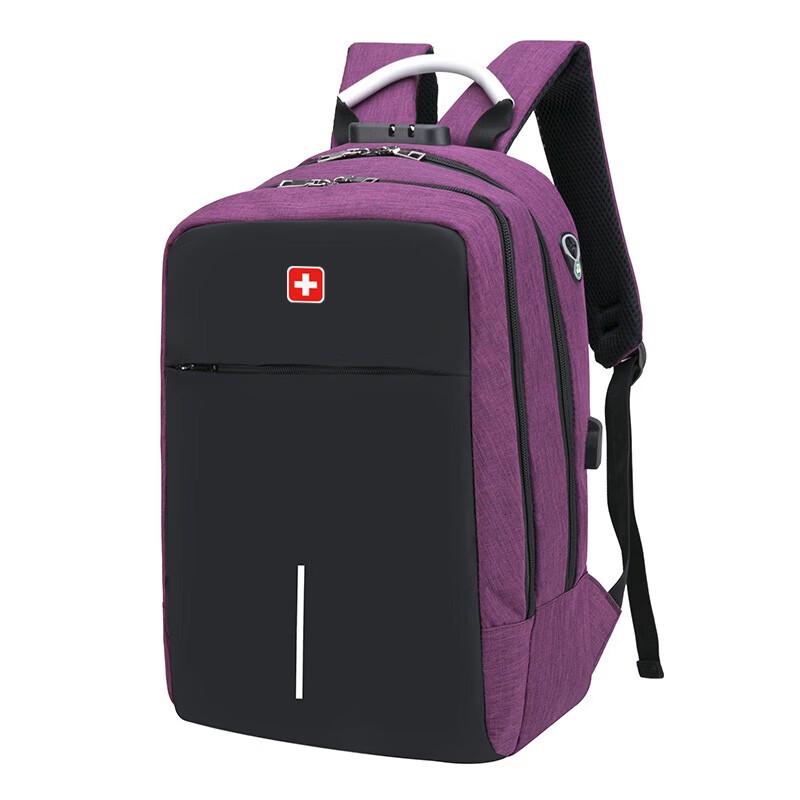 SWEGEAR+ 15.6-inch Anti-Theft Business Laptop Backpack