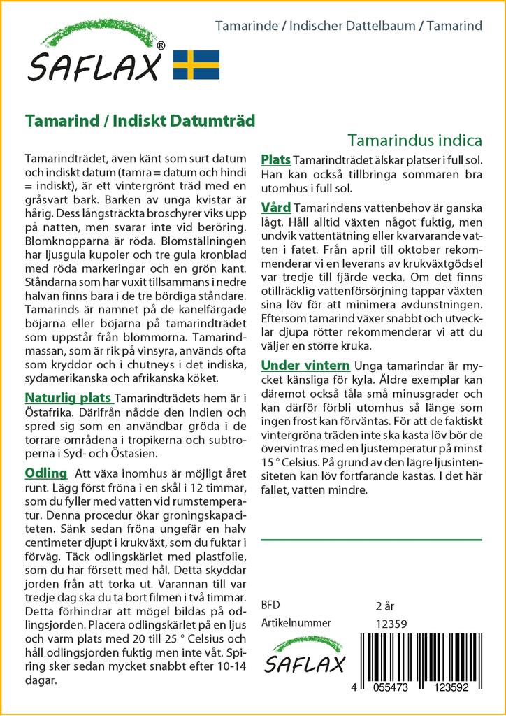 SAFLAX - Tamarind - 4 seeds - With potting substrate for better cultivation - Tamarindus indica