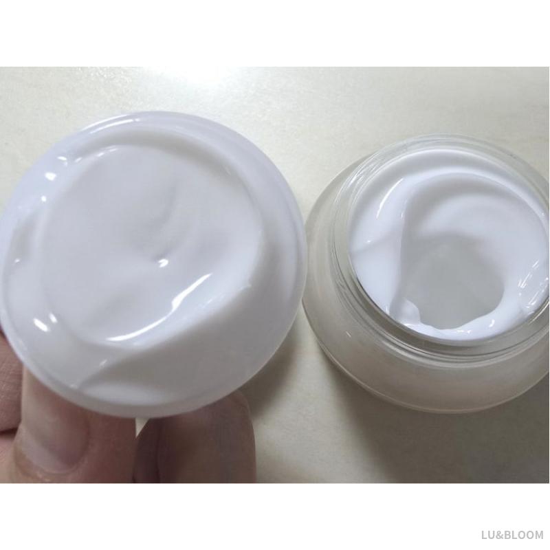 The Face Shop Rice & Ceramide Moisturizing Cream 50ml (+Free Gift)