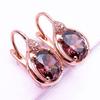 Exquisite Russian Purple Gold Rose Gold Plated Fashion Korean Version Shiny Colored Gold Inlaid Zircon Smoke Zircon Earrings