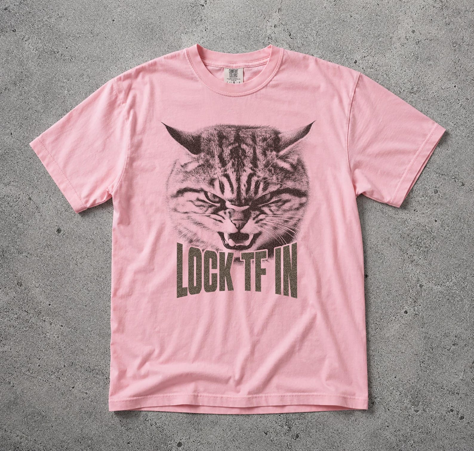 Vintage Angry Cat Graphic Tee, Lock TF In Meme Shirt, Hissing Cat Top L