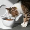 Toilet Water Bowl For Cat,Toilet Shaped Pet Water Dispenser For Cat Dog, Small Funny Bowl For Dogs And Cats Hilarious Gravity