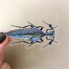 PET Transparent Insect Realistic Nature Decals for DIY Water Phone Laptops 50-Pack Stickers, Waterproof, Scrapbooks, Crafts, Albums, Journals,