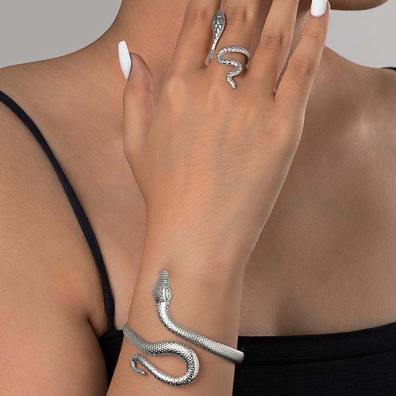 2Pcs Punk Snake Shaped Bracelets Ring Jewelry Set Spiral Snake Opening Bracelets Finger Rings Female Male Hand Jewelry