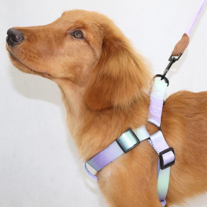 Dog Harness for Small Medium Dogs Fabric Chest Harness Outdoor Training Harness Adjust Leash for Dog Walking Supply