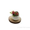 [ZYAS]1Pcs Doll House Living Room Scene Decoration Mini Rose Plant Potted Plants Model Miniature Landscape Handicrafts