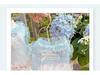 Sommer Prinzessin Haustierkleid: Katzen- und Hundewedding, Ballett, Geburtstagsrock