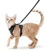 Pxcl Cat Harness Small Dog Leash Adjustable Kitten Harness Black Xs Reflective Cat Harness Collar Breathable Vest For Rabbit, European Cat, Maine Coon