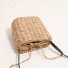 Bohemian Diamond Straw Bags for Women Summer Rhinestone Shoulder Bag Travel Drawstring Beach Bag Woven Crossbody Bags Purses
