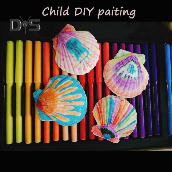 10 Adet Doğal Deniz Tarağı Kabuğu Kendin Yap El Sanatları Tema Parti Dekoru Parlak Beyaz Deniz Kabukları Takı Noel Süslemesi