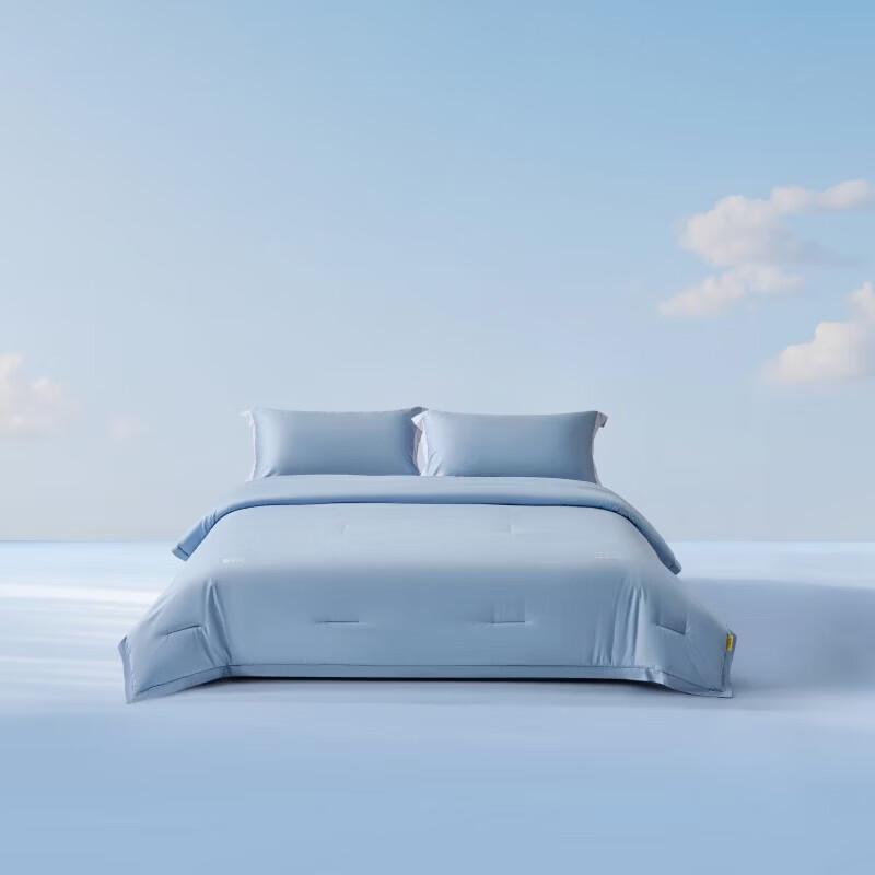 Mercury Home Textiles Lyocell Blend All-Season Washable Comforter