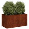 Pot Rusty 80X40X40 Cm Stainless Steel