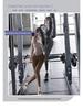 Damen Yoga & Sport Fitnesshose: Pilates, Po-Lifting, Bauchstraffung, Laufen, Basis-Schicht Shark-Hose.