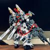 Nieuw Regus/Gus Zza Model Gzss 1/100 Montage Modelbouw Kits Plastic Skelet Kits Anime Actiefiguur Robot Plastic Model Cadeaus Speelgoed