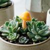 Lot de 2 figurines miniatures de champignons, adorables décorations pour jardin féérique, bonsaï, terrarium, maison de poupée, micro-paysage