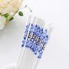 Blue and White Porcelain Ceramic Chopsticks