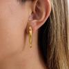 European and American stainless steel fish earrings earrings design sense niche stud earrings explosion