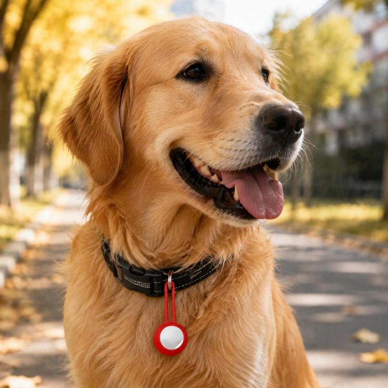 Illuminated Canine Collar Attachment With Hanging Strap, LED Identifier for Supervised Evening Walks and Outdoor Use
