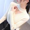 Autumn/winter Women's Knitted Bottoming Shirt Half Turtleneck Mesh Cutout Sweater Slim Knit Sweater Pullover Jumper Top