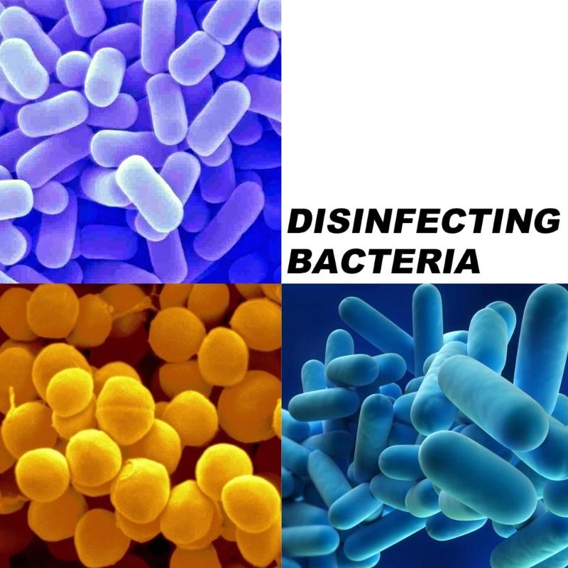 Solar Pool Floating Chlorine Dispenser Swimming Pool Chlorine Floater Bromine Tablets Dispenser  Storage Organizer