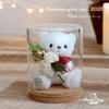 Petit Luu 2025 Christmas Glass Dome, 12cm, 4S Size (Normal)