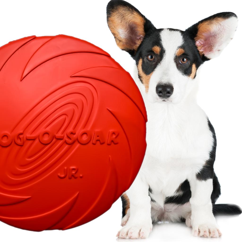 Pet Nova Toy - Rubber Frisbee Disc Red 15Cm