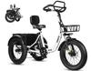 ESKUTE T302 Pro Urban Heavy-duty Electric Bicycle 250W Motor 48V 20.8Ah Battery 20x4-inch Tires Mechanical Disc Brakes.