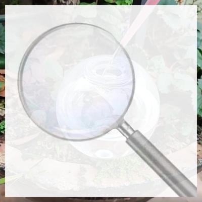 500ML Self Watering Globes Drip Irrigation System Automatic Plant Waterer Self Watering Planter Insert for Potted Plants