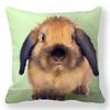 Home decoration bedroom bedside pillow cover living room sofa chair cushion cover x