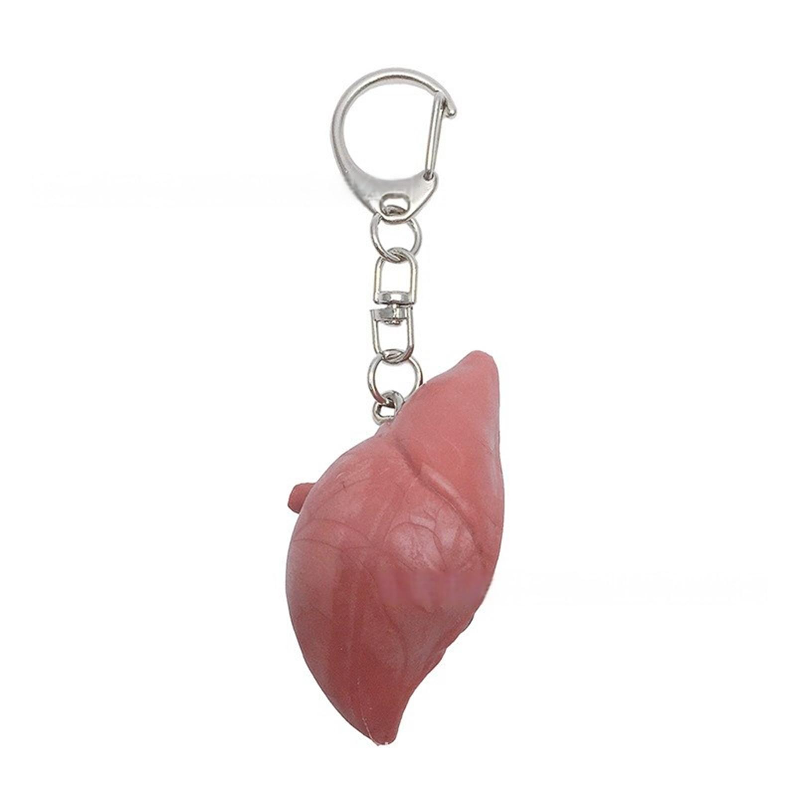 

Unique Organ Shaped Keychain Symbolizing Emotional Release Crafted From Sturdy Mixed Materials With Intricate Detailing 3