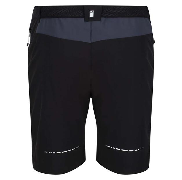 Regatta Mountain II Shorts