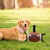 Rugby Dog Toy Portable Ball for Puppy Small Medium Large Dogs Training