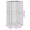 Gabion with Lid 100x100x200 Cm Galvanized Iron