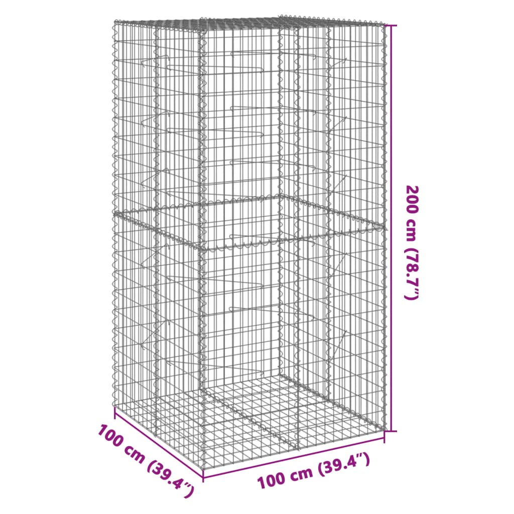 Gabion with Lid 100x100x200 Cm Galvanized Iron