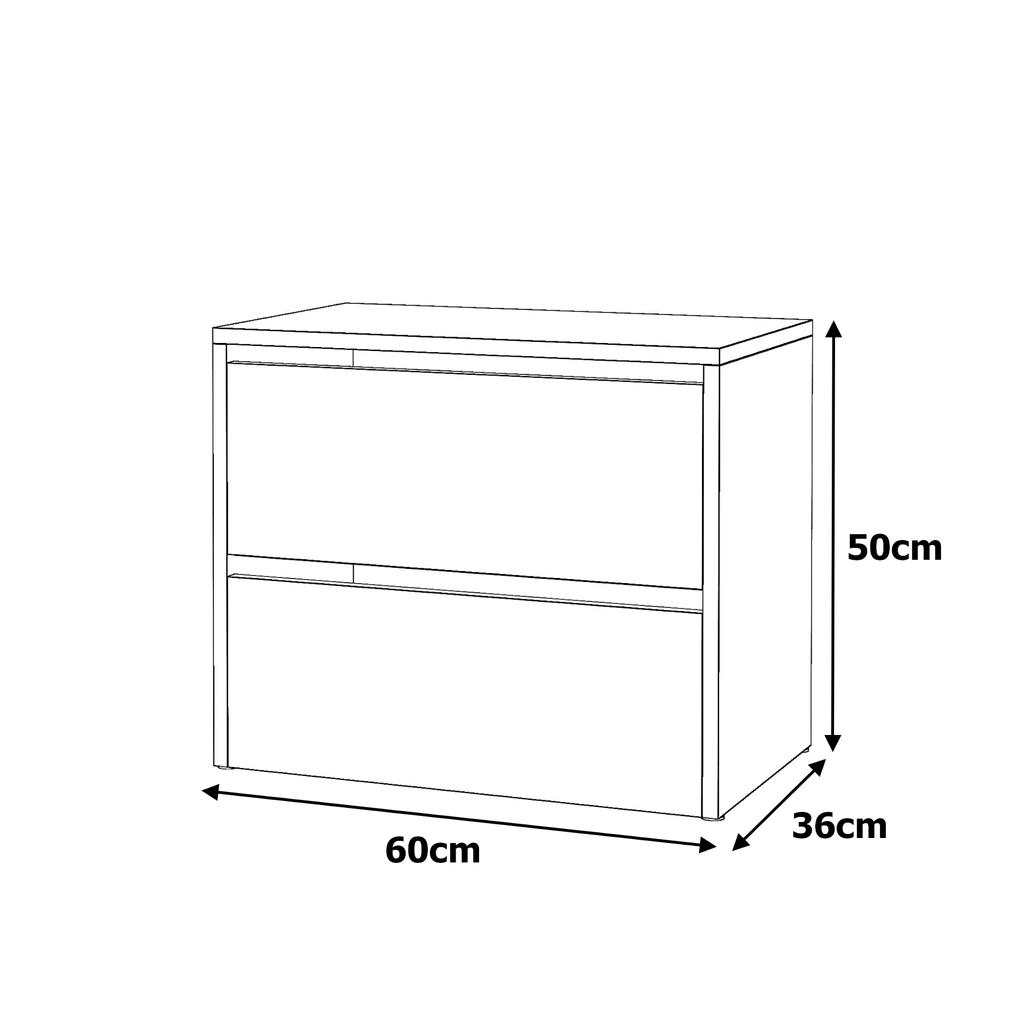 WHITE GLOSS SHOE CABINET 60 CM