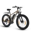 SPATIAL Parrot Men’S All-Terrain Electric Bicycle 250W Motor 48V13AH Battery Outdoor Riding Electric Bike 26 Inch Off-Road E-Mountain Bike