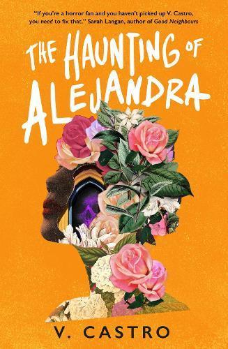 The Haunting of Alejandra by V. Castro Paperback Book 9781803365619