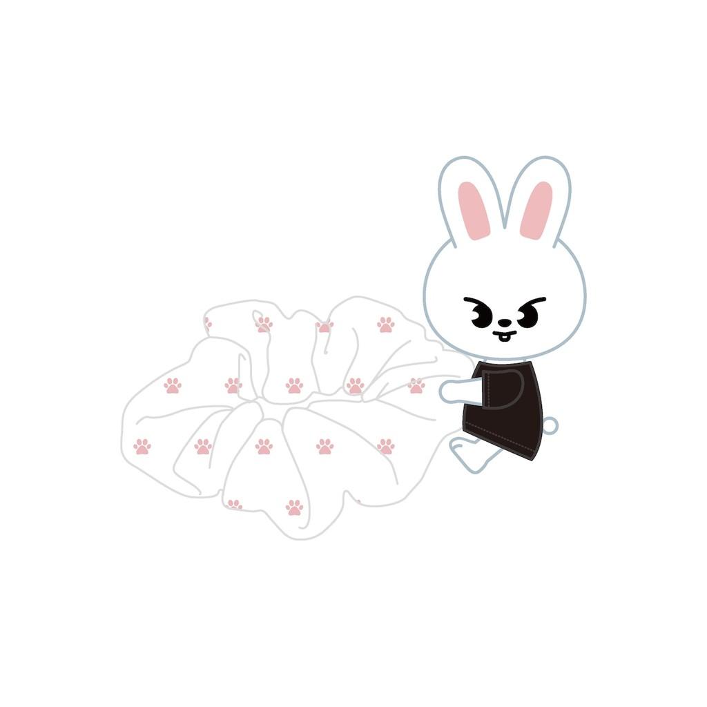 Stray Kids World Tour RUN IT JAPAN OFFICIAL GOODS MD PRE-ORDER