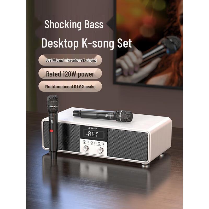 

SANSUI T73 Home KTV Karaoke Audio System