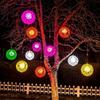 Luminous Hydrangea Ball-in-Ball Tree Decorative Light