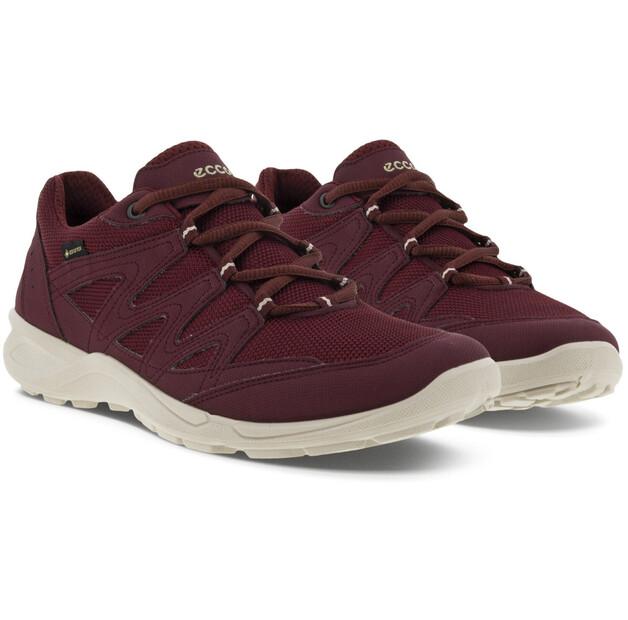 Полуботинки Ecco Terracruise LT GTX