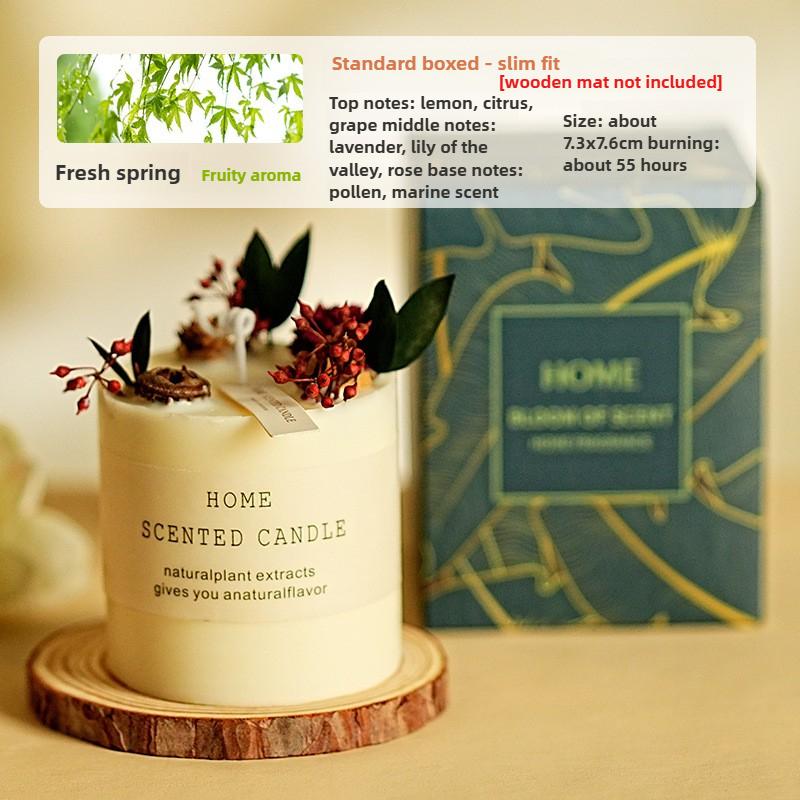 Forest Home Fragrance Candle Hotel Home Soy Wax Smokeless Birthday Gift Comes with Gift Box Aromatherapy Set Premium Gift