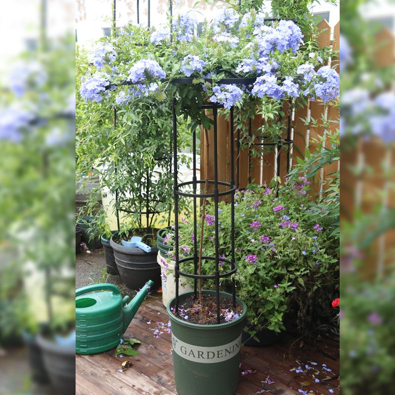 Mushroom-Head Flower Stand & Climbing Rose Support - Durable Plant Stand for Clematis and Roses