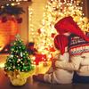 23-Inch Mini Christmas Tree with Lights, Star Topper & Ornaments for Desk or Office Holiday Decor
